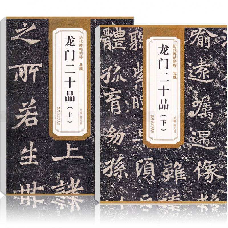 【现货速发】北魏龙门二十品 上下 历代碑帖精粹 薛元明编 附技法解析 临摹临习篆书的好范本艺术书法篆