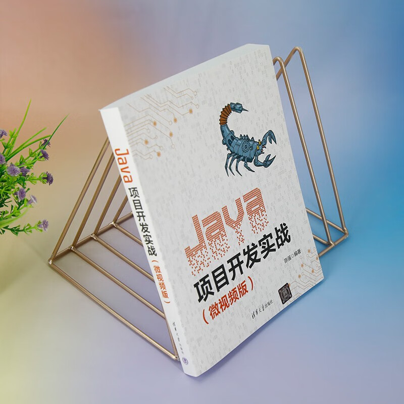 Java项目开发实战（微视频版）
