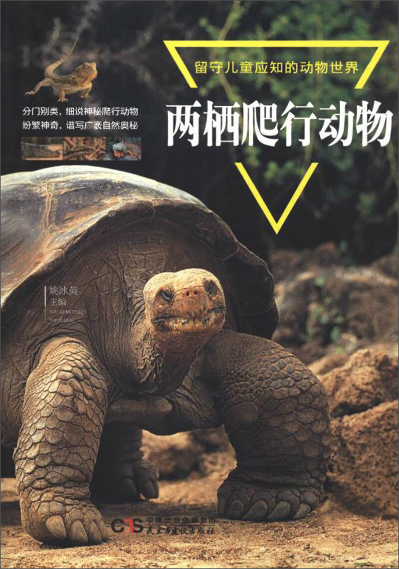 留守儿童应知的动物世界：两栖爬行动物 