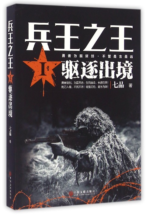 兵王之王(Ⅰ驱逐出境)