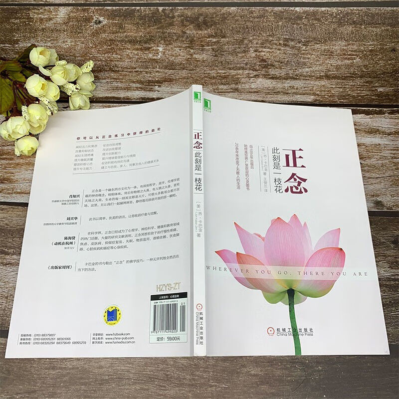 官网:正念::此刻是一枝花:正念减压之父乔卡巴金经典力作 官方正版