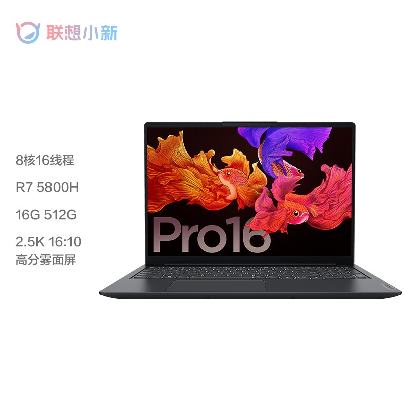 联想小新Pro16 2021新品高性能轻薄本16英寸锐龙R7八核全屏笔记本电脑 R7-5800H 16G 1TB丨升级 2.5K高清屏 WiFi6