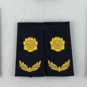 定制适用新综合城市管理肩章臂章, 套肩