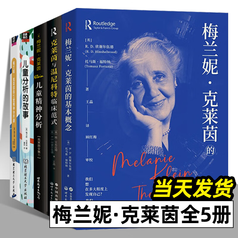 全5册 梅兰妮·克莱茵的基本概念 克莱茵与温尼科特临床范式 比较与