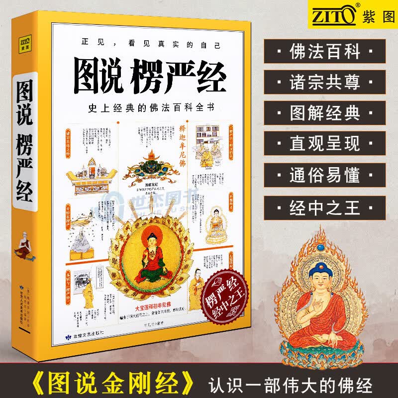现货图说楞严经史上经典的佛法百科全书图解经典系列人人都能读得懂佛教正法代表佛学金刚经入门佛教书心经金 教书心经金