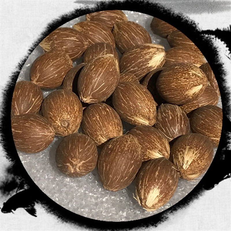 珠佩丽菩提子原籽紫金鼠三眼菩提原籽紫金鼠散珠佛珠手串 同树籽13