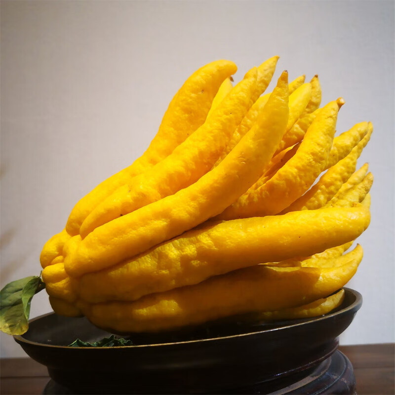 帆儿庄园新鲜佛手食用佛手果佛手柑佛手瓜香橼清供观赏小佛手现摘现发