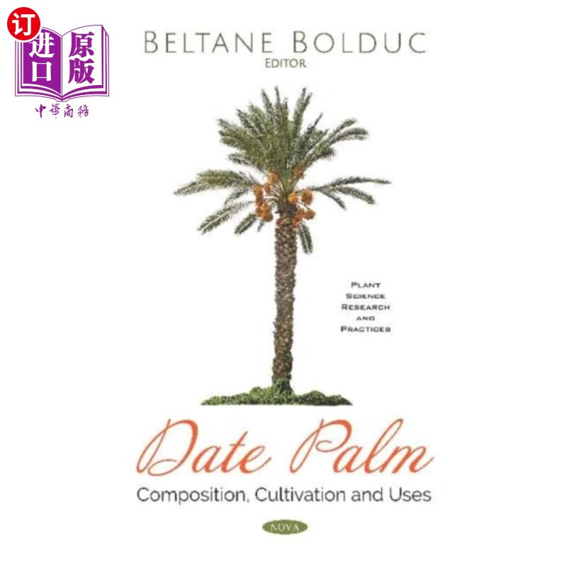 海外直订date palm 枣椰树