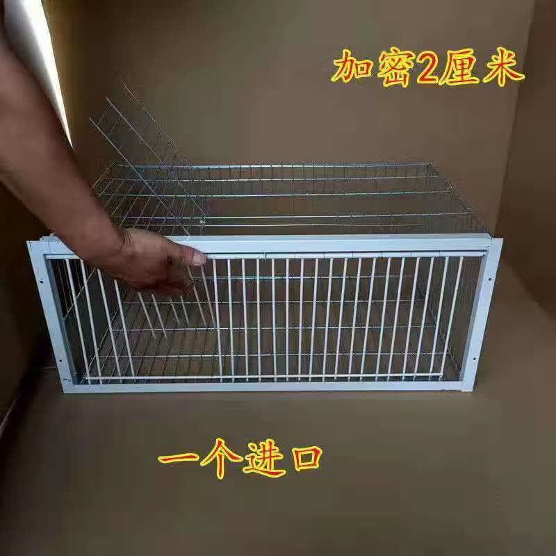 clcey自动鸽神器鸽子捕全自动鸟天落笼补只抓养进鸽子的大笼子专不用