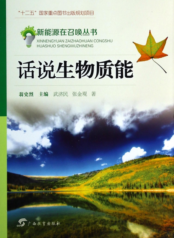 话说生物质能/新能源在召唤丛书