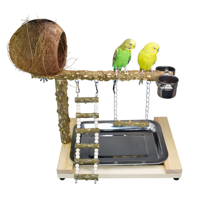 clcey散养鸟站架实木鹦鹉架子鹦鹉站架桌面鹦鹉站台鹦鹉桌面游乐场