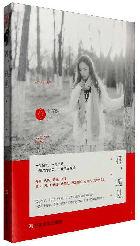 再遇见【正版好书】