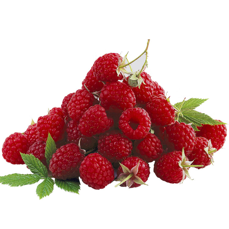 顺丰空运 新鲜红树莓带叶覆盆子新鲜水果酸甜可口独立包装礼盒 4盒装（500g） 125g/盒