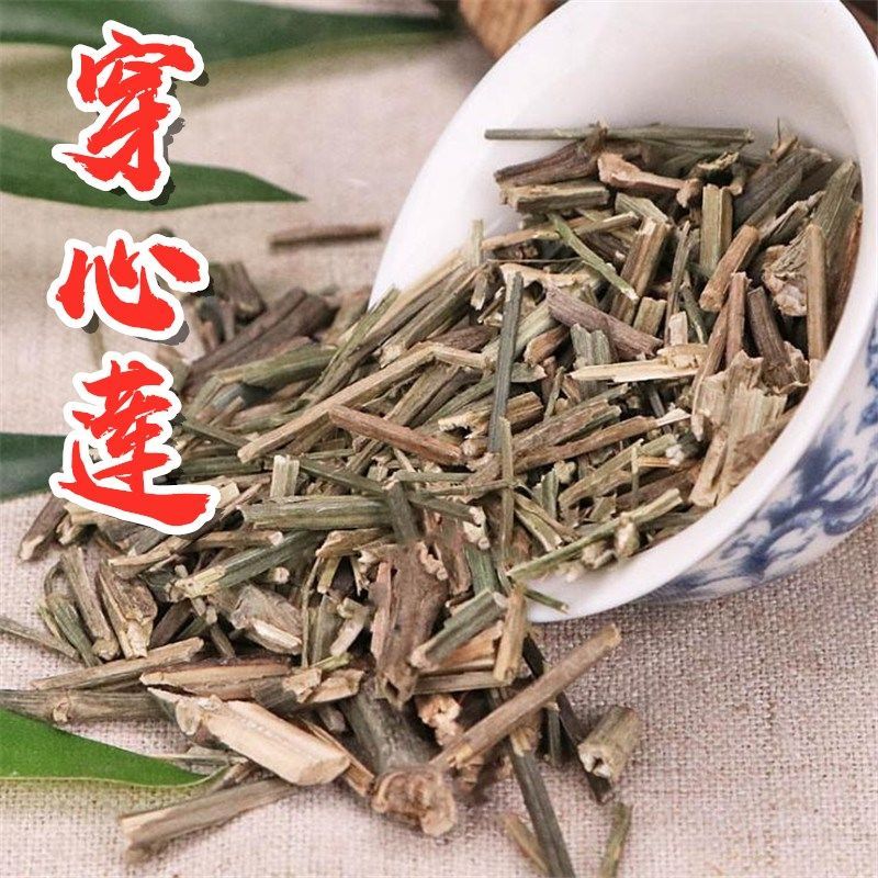 北京仁同堂原料穿心莲 榄核莲 苦胆草 四方草 穿心连 多规格 穿心莲
