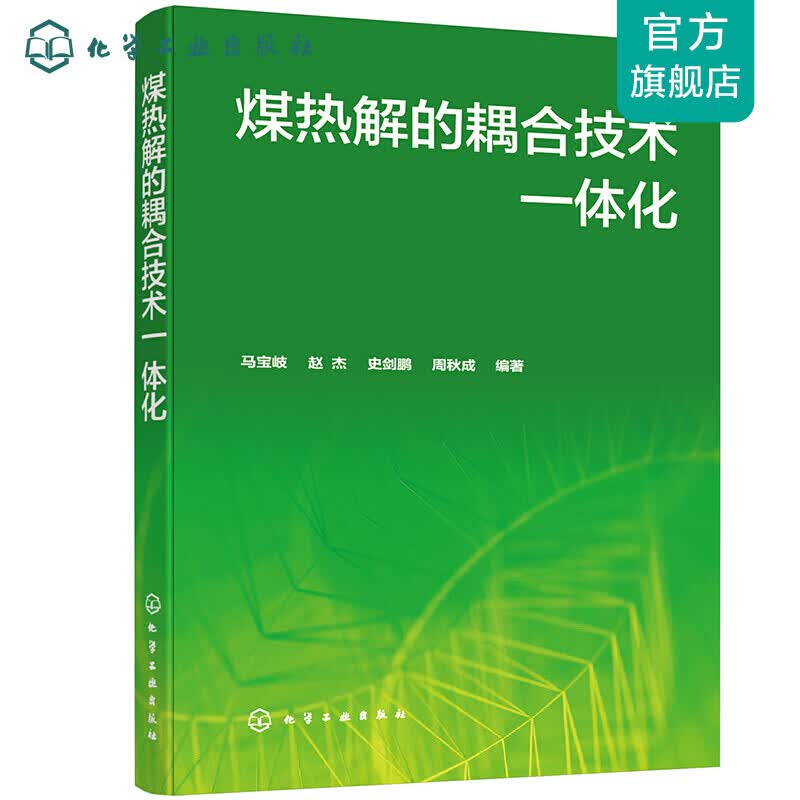 煤热解的耦合技术一体化