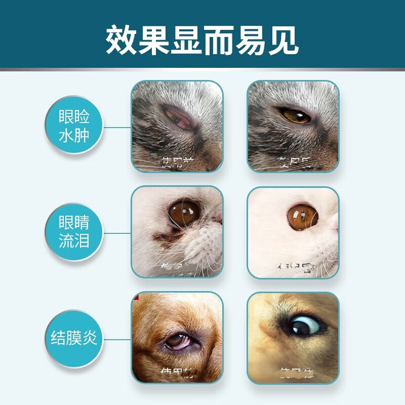 白内障滴眼液狗狗白内障专用滴眼液宠物猫咪去泪痕去眼屎缓解眼部干涩老年犬眼睛角膜炎 3瓶装【狗狗眼屎多】