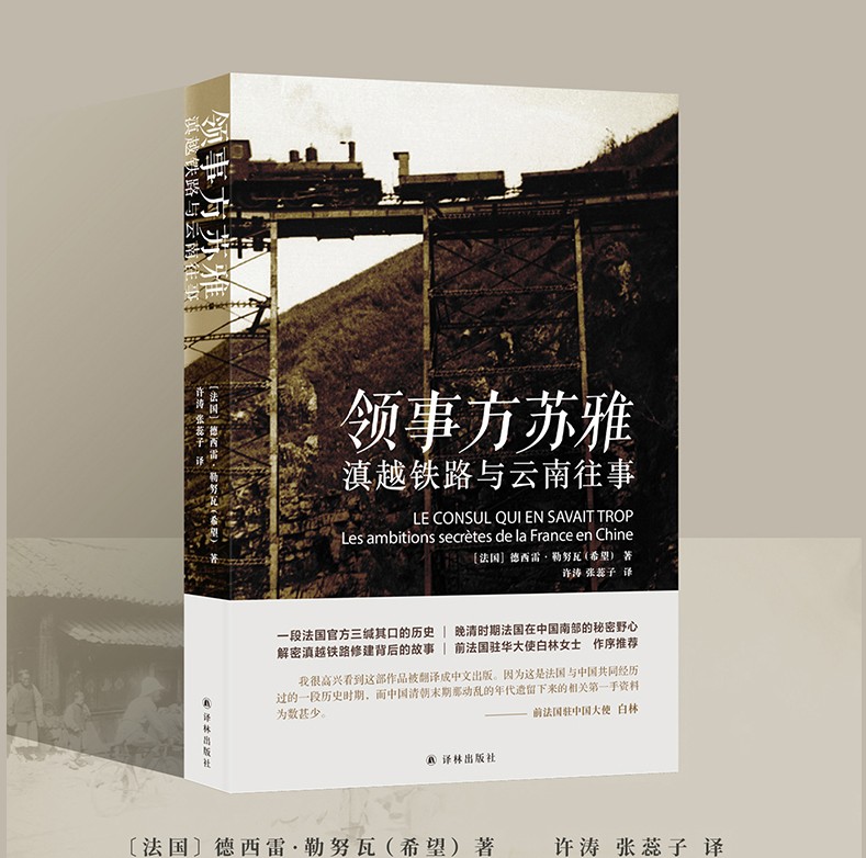 传记译林（政治人物）（披露一手珍贵历史资料，还原重大历史秘闻） 领事方苏雅：滇越铁路与云南往事
