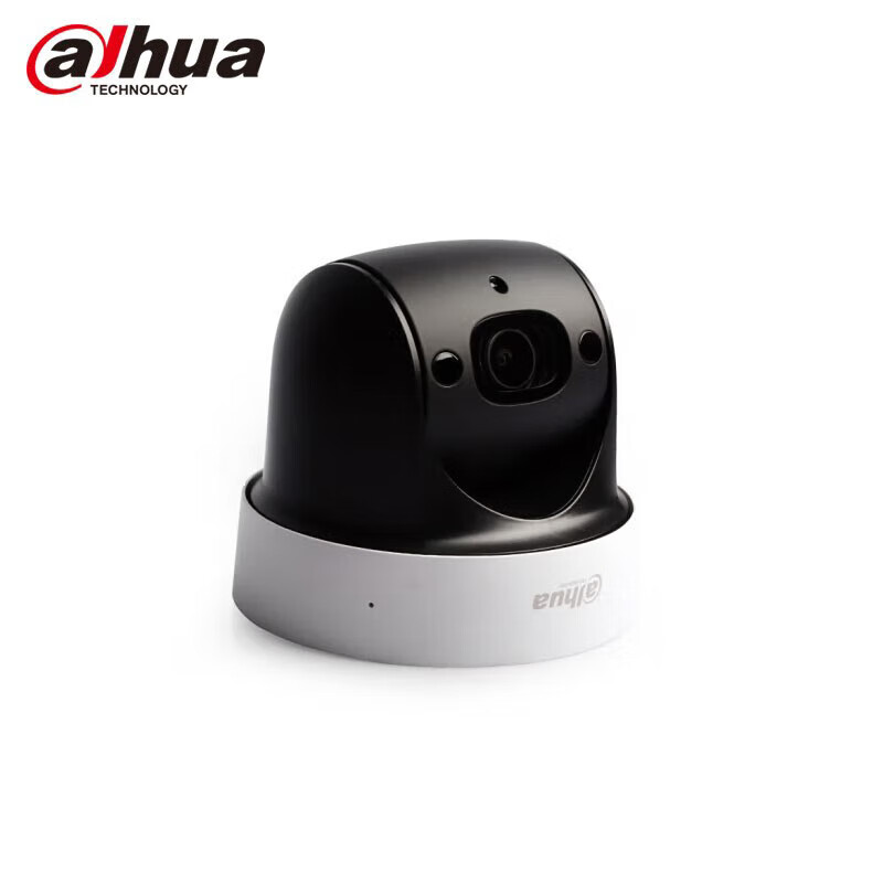 大华（dahua）监控摄像头200万4倍红外球机POE支持人脸检测SD卡球形摄像机DH-SD-29D204UE-GN-PD 2.8~11.2mm