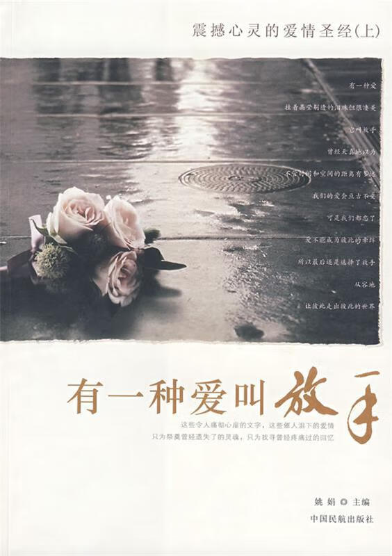 有一种爱叫做放手 姚娟 中国民航出版社