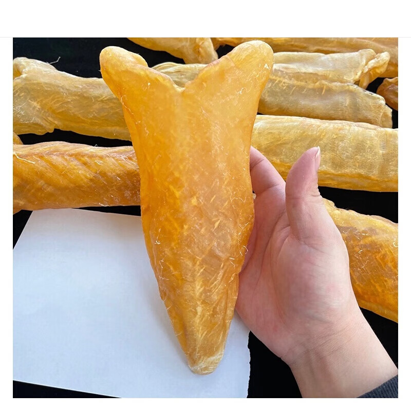 伟博 3头特大号天然黄花胶鱼胶大花胶筒鱼肚干货楼上尖货500g