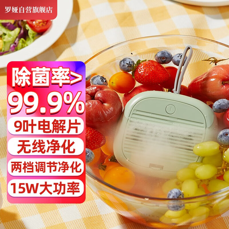 罗娅 果蔬净化器清洗机无线便携水果净化机家用洗菜机洗菜杀菌消毒神器农药残留升级款15W大面积净化 北欧绿（晒图领1000京豆）