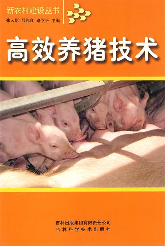 高效养猪技术 张云影 等主编【正版书】
