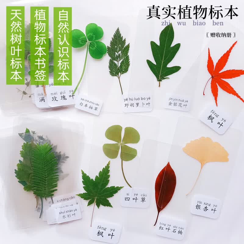 zepin植物标本册塑封干花天然真树叶子幼儿园教学认知科普儿童节日礼物 全套装80款不重复 标本册(含册子)使用感如何?