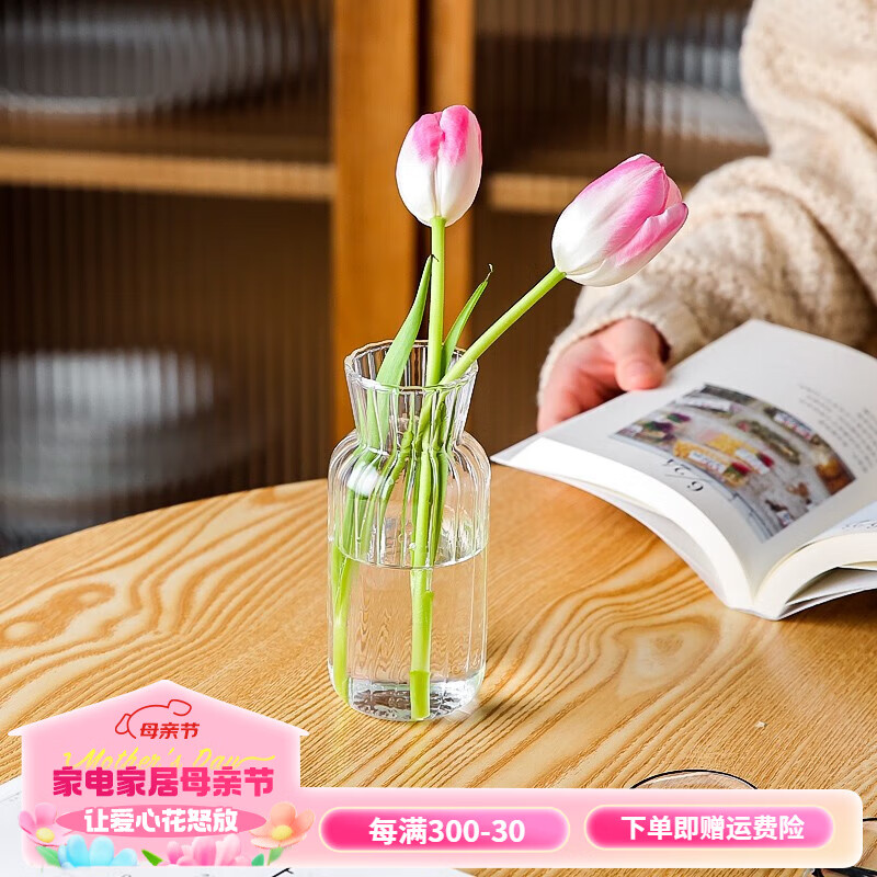 透明玻璃小花瓶摆件客厅插花干花水养网红ins风玻璃瓶 玻璃花瓶(圆肚)