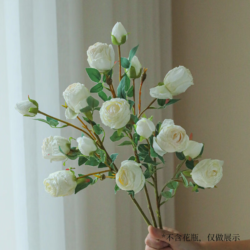 ���滨�� 5ͷ����ɫ��3֧