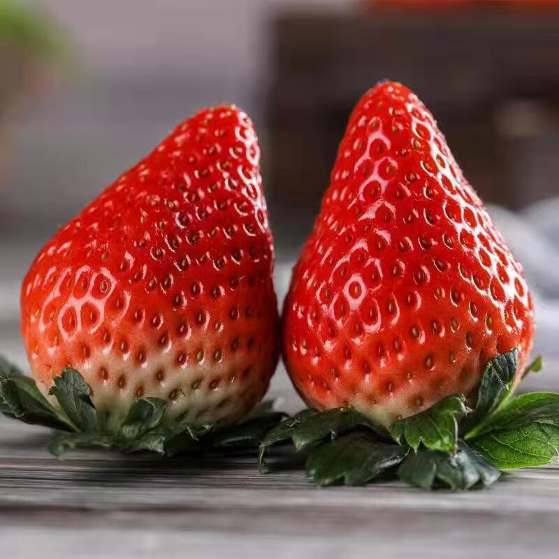 闻度鲜特大正宗丹东99草莓新鲜水果现摘红颜牛奶草莓一整箱水果正宗