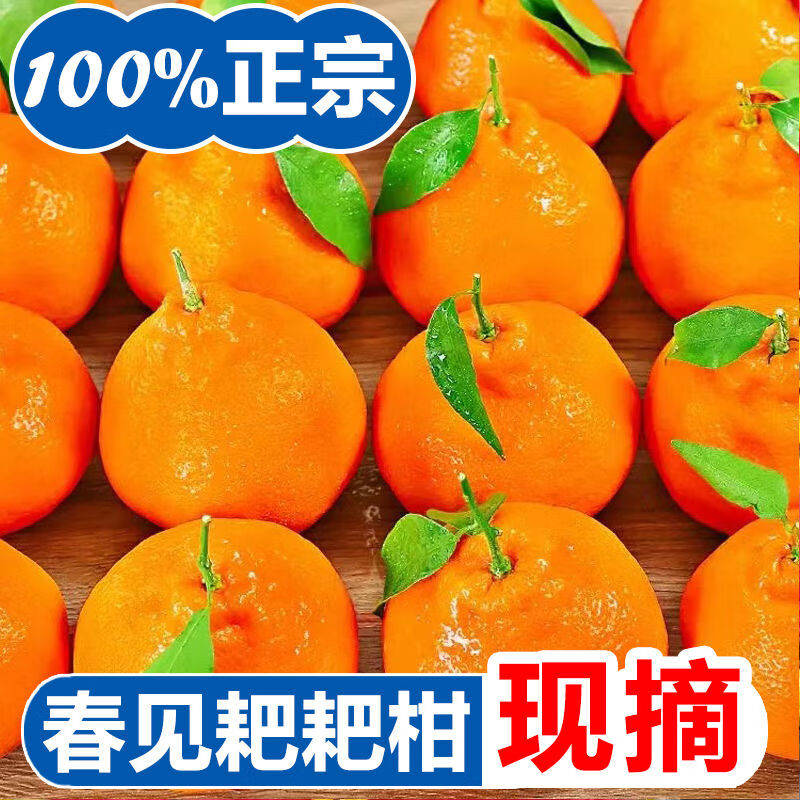 粑粑柑春见耙耙柑30斤一整箱正宗四川眉山春见耙耙柑新鲜水果孕妇 4.5斤礼盒装 [商超精品85mm左右]精选特大果