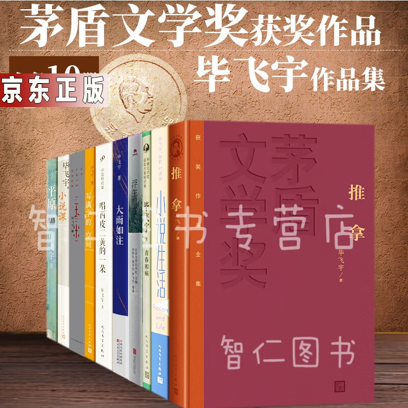 毕飞宇作品集:茅盾文学奖推拿 平原 小说课 玉米 小说生活 写满字的