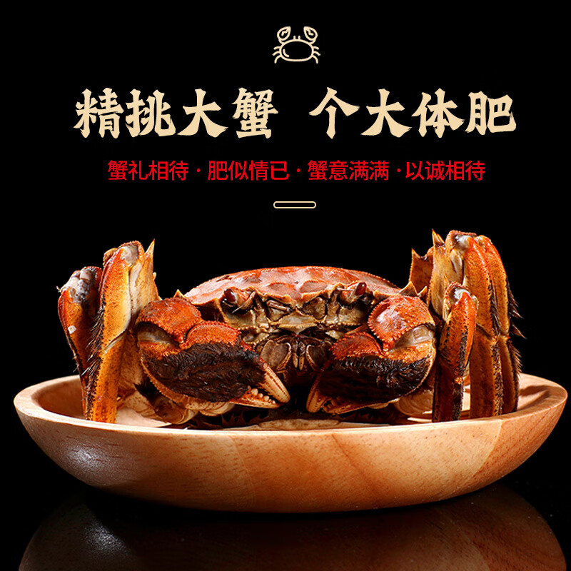 【活蟹】(网兜蟹)洪泽湖大闸蟹鲜活螃蟹 全母蟹2斤装7-10只装