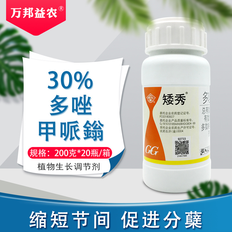 国光矮秀30%多唑甲哌鎓多效唑甲派翁果树蔬菜花生矮化剂调节生长植物