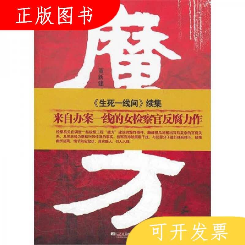 江苏文艺出版社魔方9787539949888董新建