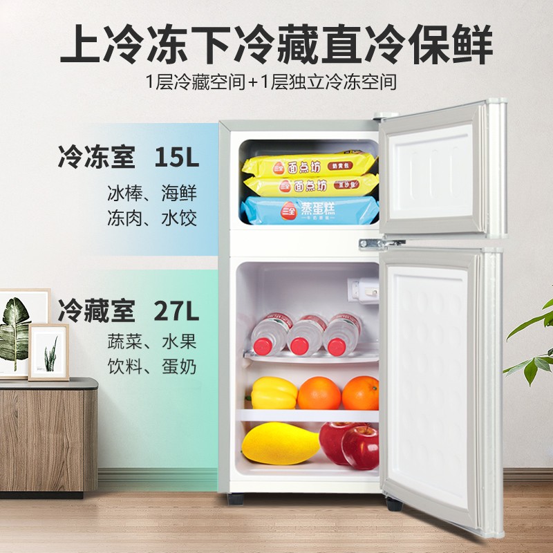 【旗舰店】申花（SHENHUA）小冰箱小型家用宿舍租房寝室节能迷你冷藏冷冻特价双开门两门电冰箱 一级能效-42L-银【标准款】单人用