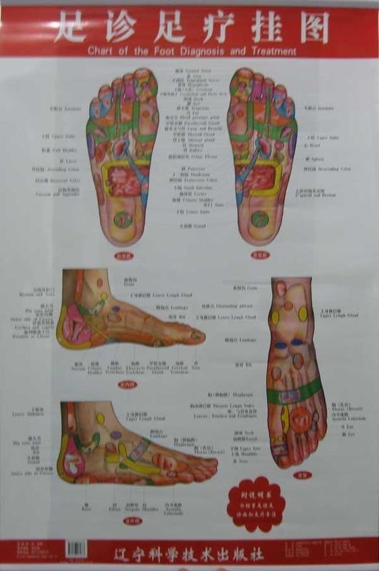 足诊足疗挂图 周新等编著 辽宁科学技术出版社