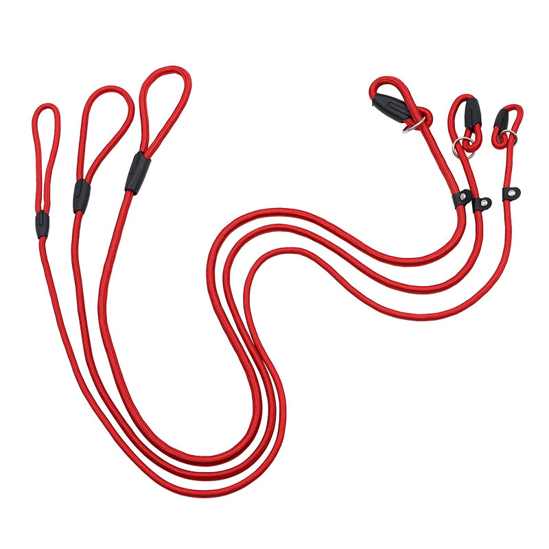 中小型宠物用品狗狗牵引带P绳宠物狗绳P链宠物用品优质尼龙 蓝色 0.6*130cm