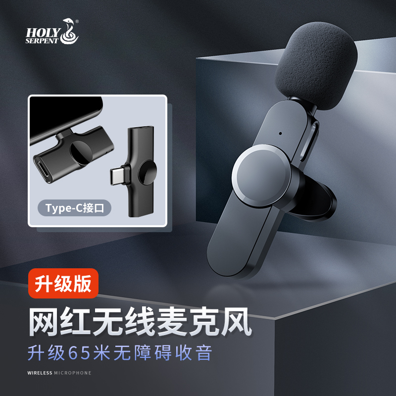 蛇圣 无线领夹式收音麦克风手机直播网课收音器户外采访短视频专业拍vlog录音安卓苹果迷你话筒 安卓Type-c接口一拖一单麦克风