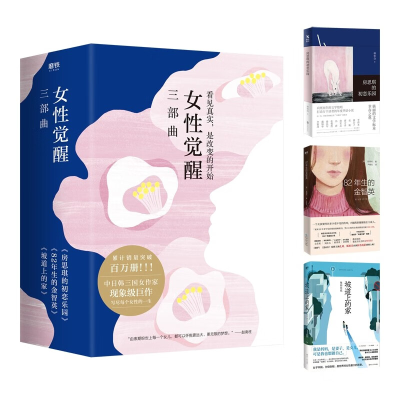 女性觉醒三部曲82年生的金智英 房思琪的初恋乐园 坡道上的家套装共3