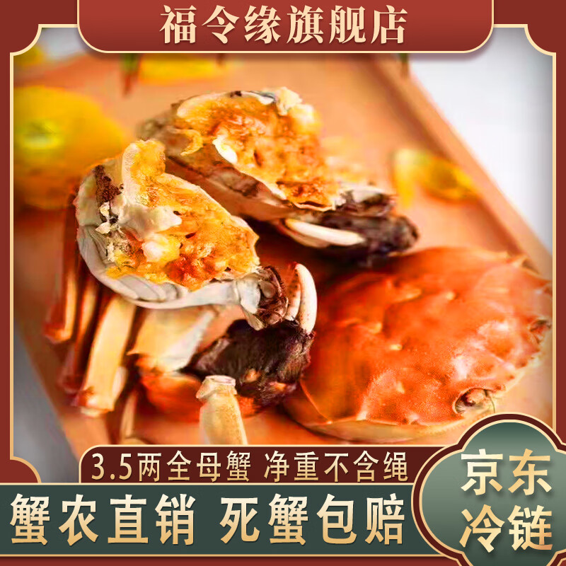 【不含绳净重】鲜活大闸蟹3.5两全母蟹螃蟹精挑特大母蟹海鲜水产 3.