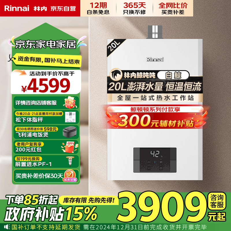 林内（Rinnai）【鲸吨吨白鲸】20升大升数燃气热水器【家电政府补贴15%】全新升级CPU 20GD31（JSQ40-GD31）