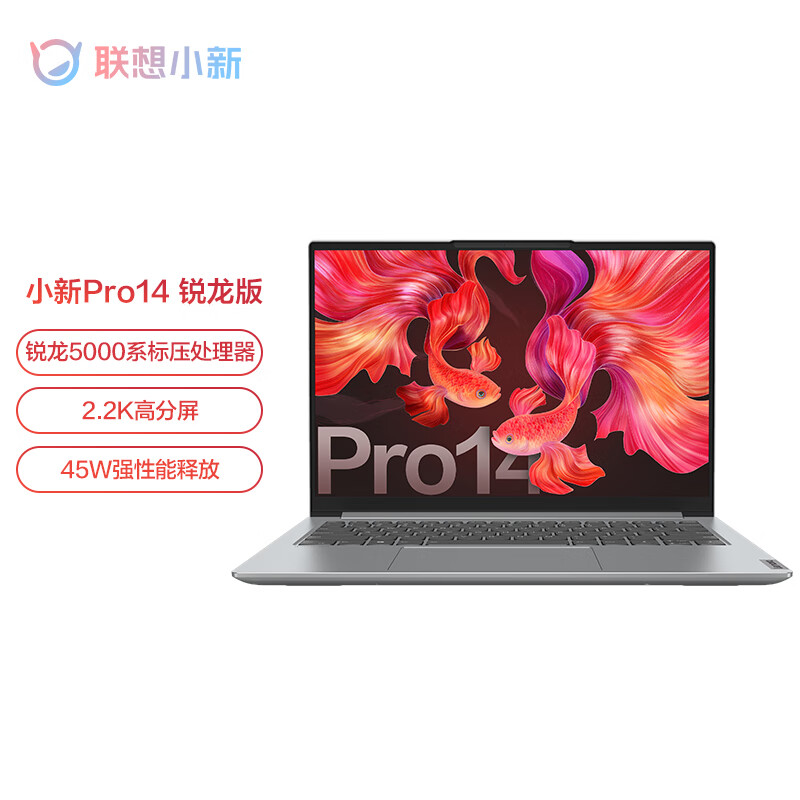 联想小新Pro14 高性能轻薄本 14英寸全面屏笔记本电脑(8核R7-5800H 16G 512G 2.2K 低蓝光护眼屏 )标压锐龙版