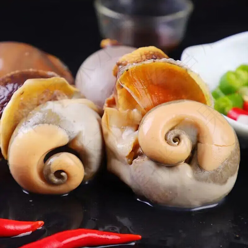 安峰山鲜活猫眼螺大个头香螺海螺水产贝类海鲜花螺 3斤装