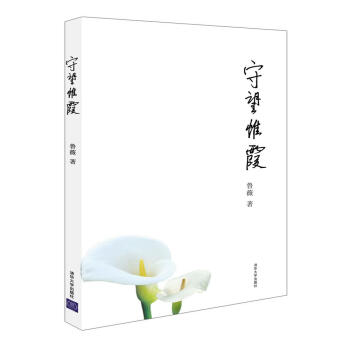 守望惟霞【正版图书】