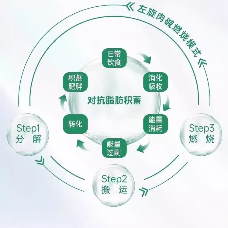 多燕瘦泰尔牌新维亭片减肥改善皮肤水分丙酮酸钙多燕瘦天婷苹果丙酮酸钙 1瓶装【初期体验装】
