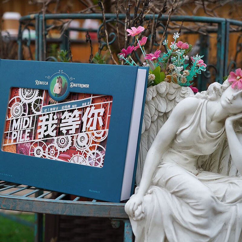 【赠PVC包装盒】现货 我等你 立体纸雕绘本 生日情人节礼物书 绘本天后海贝卡 经典文学暖心童话节日礼品 后浪正版 我等你