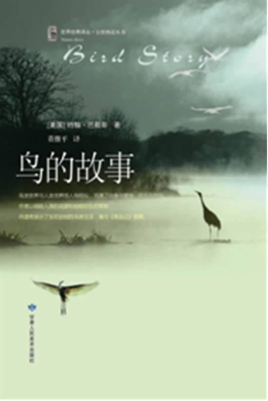 自然物语丛书·鸟的故事