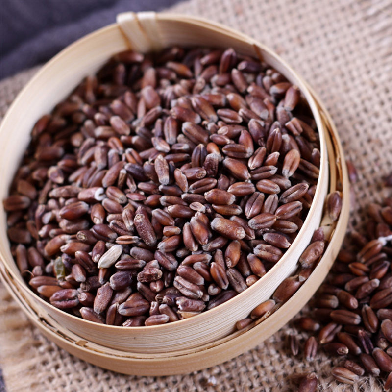 珍主角 黑小麦粒500g 种子农家新货全胚芽黑麦子麦仁带皮五谷杂粮粗粮