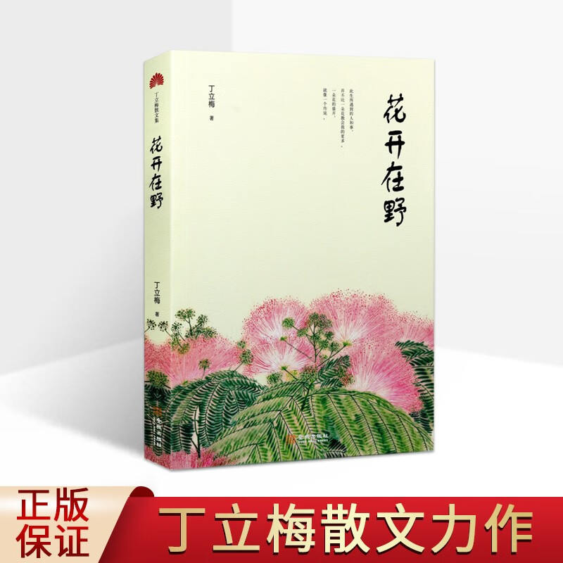丁立梅散文集 花开在野 丁立梅作品 丁立梅散文精选文学书籍 金城出版